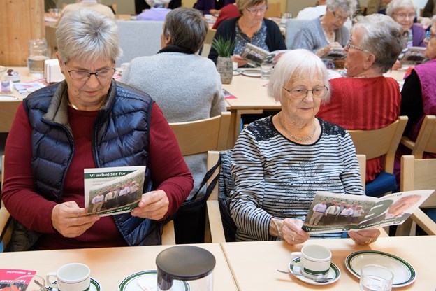 Fem ældreorganisationer i Skagen havde indbudt til møde om de ældres forhold.
Foto: Peter Broen Hans Christensen og Peter Broen (foto)