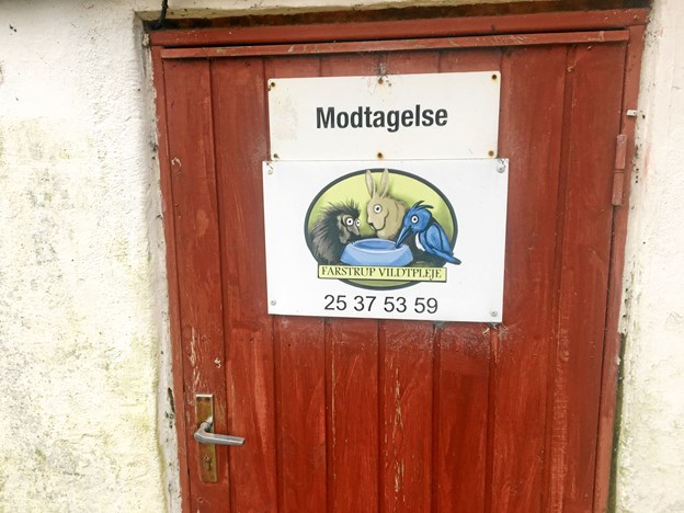 Det første man møder på gården - og faktisk ofte det sidste er modtagelsen - for der er ikke mulighed for alm. rundvisninger. Foto: Radio NORDJYSKE Anders Fuglsang