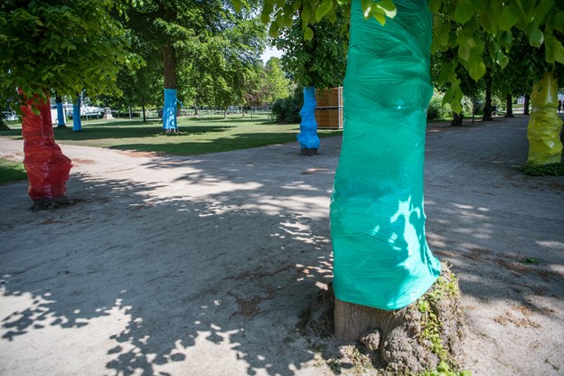 Kildeparkens store træer har fået pangfarvet plastik rullet rundt om stammerne for at man kan bruge farverne til at orientere sig efter. Katrine Schousboe og Andreas Falck (foto)