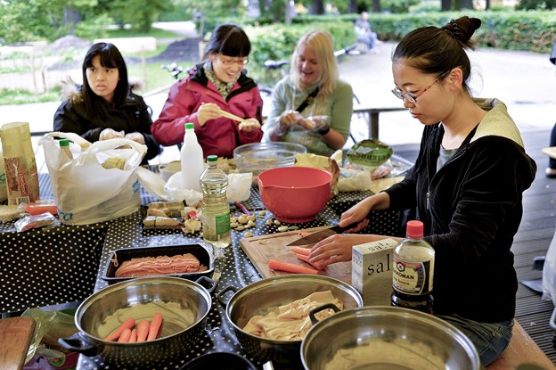 Asian Culture Festival er efterhånden veletableret i Aalborg. Tidligere har den været holdt i blandt andet Karolinelund, i år finder du den på Toldbod Plads. Arkivfoto: Claus Søndberg Katrine Schousboe