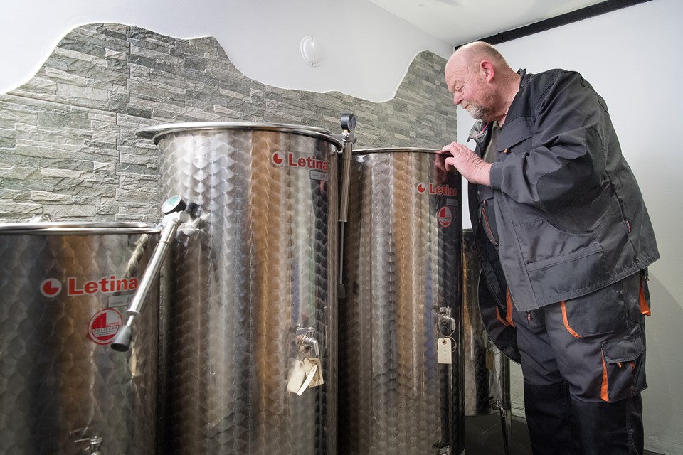 Villy og Anni Sørensen har de sidste otte år dyrket vin på deres jord på Als Odde. Foto: Torben Hansen
