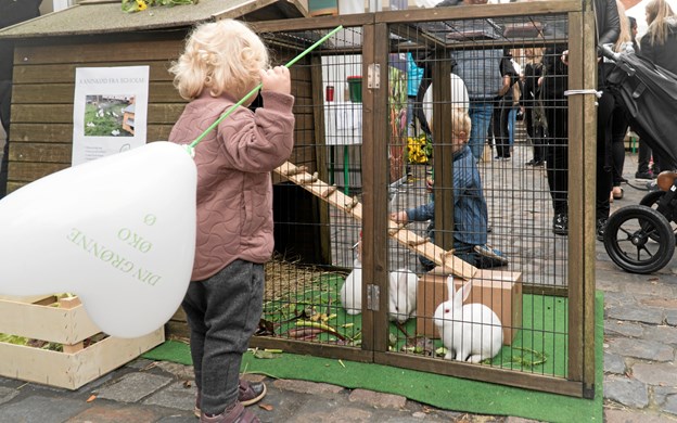 Der er også masser af aktivitet for de helt små. Privatfoto Anne Helene Kahr Thomsen