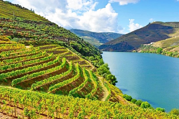 Den nye butik sælger alt fra frisk frugt og grønt over tilbehør som tapenade, dolce de leite og honning og til vin og portvin. Alt sammen fra Portugal.Privatfoto