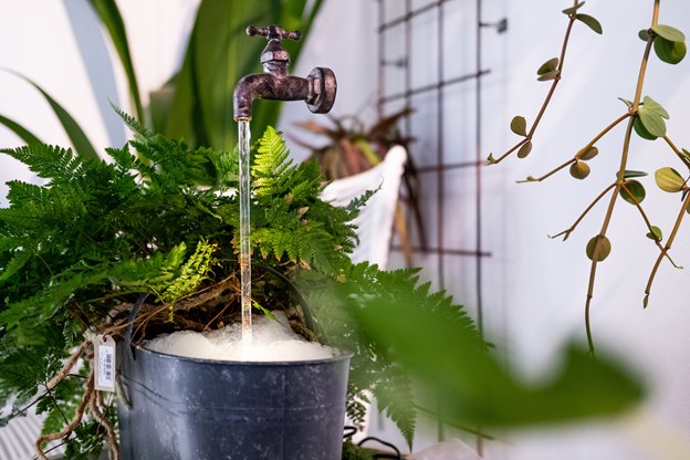 Beliggenheden passer ejerne godt, for de synes, at en butik, der sælger blomster og planter tematisk passer godt til Anne Helene Kahr Thomsen og Lasse Sand (foto)