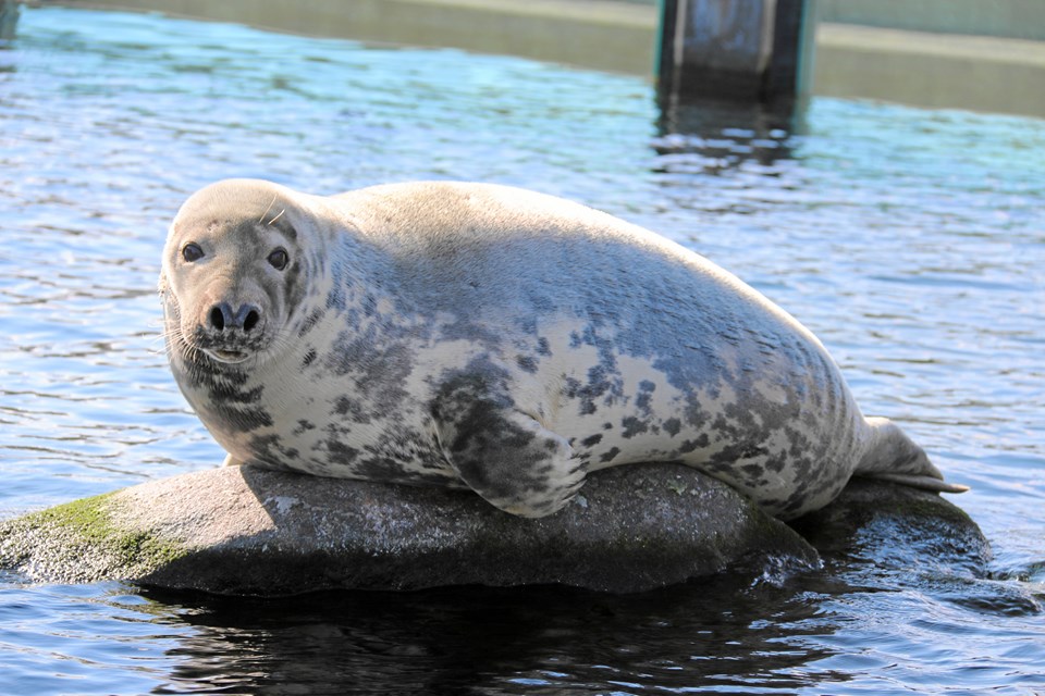 Indhold leveret af Nordsøen Oceanarium